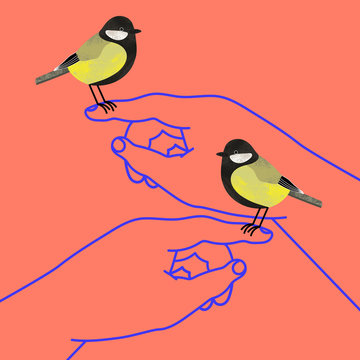 Hands holding great tit birds on their fingertips