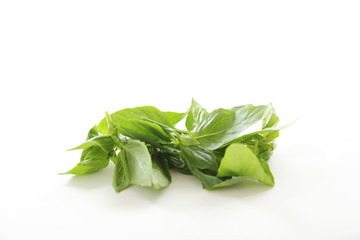 Basil herb isolated in white background