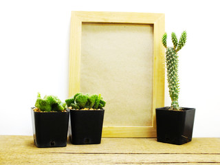 space of black board background with cactus decorate