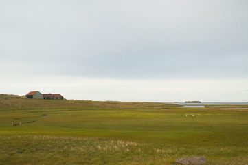 Beautiful view in summer,Iceland