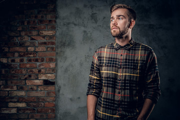 Bearded man over grey background.