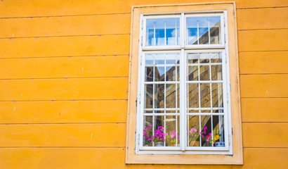 Fototapeta na wymiar window with flower pots