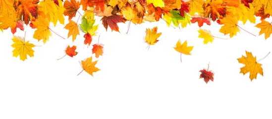 Foto op Canvas autumn leaves background © andreusK