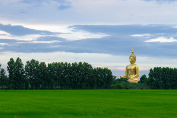 Buddha statue in meditation style and Green field - 168714587