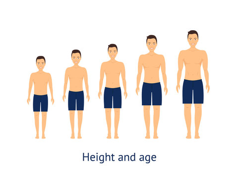 Height and Age Stage of Growth from Boy to Man. Vector