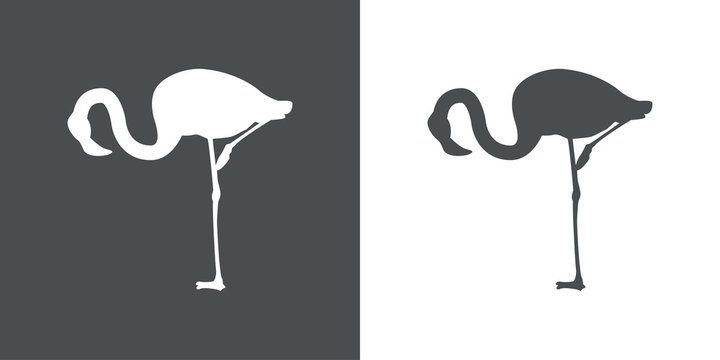 Icono plano flamingo agachado blanco y gris
