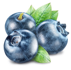 Blueberries and blueberries leaves. Macro shot. File contains clipping path. © volff