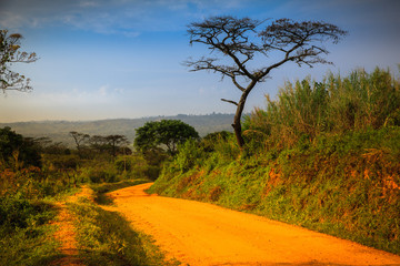 Fototapeta na wymiar Uganda Landscape
