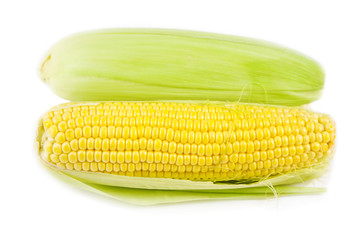 Fresh, Sweet Yellow corn on white background , close up.