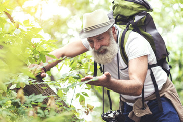 Joyful senior tourist admiring natural beauty in forest