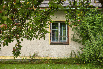 Old rotten window in a ruined house facade in an old garden with a lawn and an old apple tree