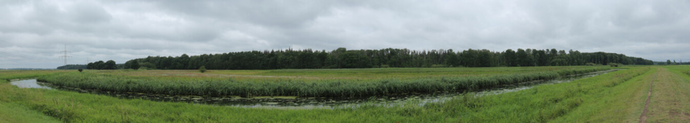 Fototapeta premium Panoramic view of extensively used meadows beneath the stream Ryck near Heilgeisthof, Mecklenburg-Vorpommern, Germany