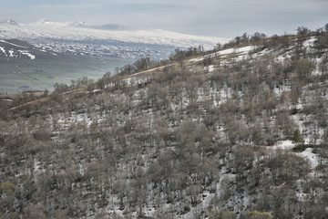 Fototapeta na wymiar Mountains of early spring in Armenia