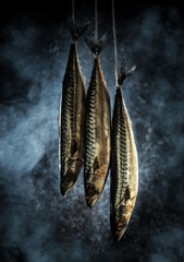 Mackerel in the smokehouse. Fresh fish in the smoke