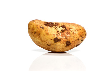 Fototapeta premium Fresh potato