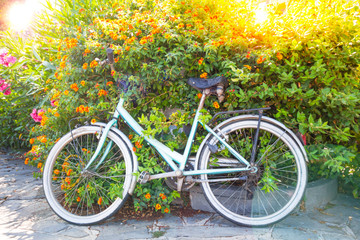Fototapeta na wymiar Bicycle parked near a tree flower in garden background in summer time.