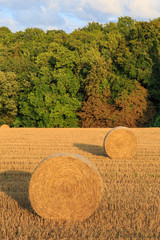 Hay Bales in the Countryside