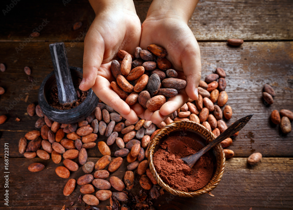 Wall mural Cocoa beans