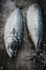 Fresh raw fish mackerel on a wooden table. Rustic style