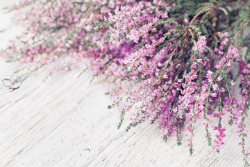 Heap of pink heather flower (calluna vulgaris, erica, ling) on white rustic table. Greeting card for mother or woman day. - obrazy, fototapety, plakaty
