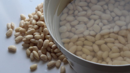 haricot food protein