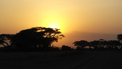 Fototapeta na wymiar Amboseli Park