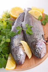 raw fish on board