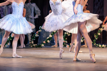 dancing, passion, popularity concept. group of magnificent ballerinas wearing adorable blue dresses...