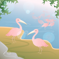 Pink pelicans standing at the lake