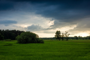 Thunder clouds over the meadow, Poland