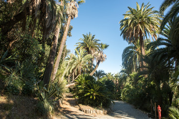 A path in the Park of Villa Pallavicini, Genoa