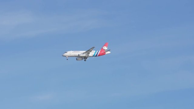 SOCHI, RUSSIA - MARCH 6, 2017: Sukhoi SuperJet 100 of Yamal Airlines in flight with bear image on the tail. Sukhoi Superjet 100 is modern russian reginal jet