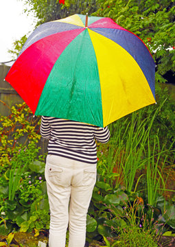 Colourful Umbrella in the rain