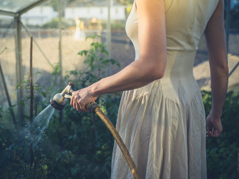Woman in dress watering tomatoes at sunset