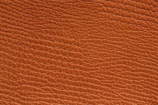 Brown Leather Texture/Brown Leather Texture