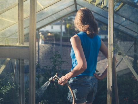 Young woman watering tomatoes in her greenhouse