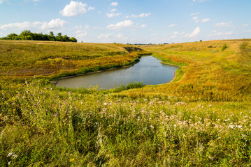 Obraz premium Jesień krajobraz ze stawem w stepie. Rosja, region Lipieck