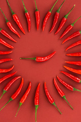 red hot chili peppers, popular spices concept - close up on decorative circle is made from red hot pepper pods on red background, in the middle is one pod, top view, flat lay