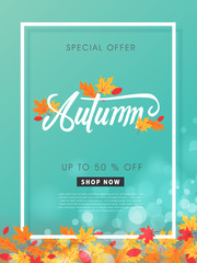 Autumn sale background layout decorate with autumn leaves for shopping sale or promo poster and frame leaflet or web banner.Vector illustration template.