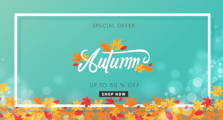 Autumn sale background layout decorate with autumn leaves for shopping sale or promo poster and frame leaflet or web banner.Vector illustration template.