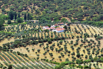 Fototapeta na wymiar Rural landscape. Portugal