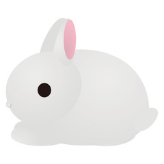 白いウサギ