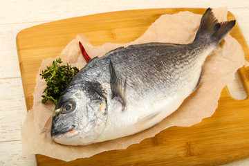 raw dorada fish