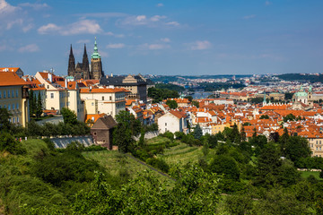 Naklejka na ściany i meble Hradcany Prague Castle, Church Saint Vitus in Prague, Czech Republic