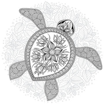 Vector illustration of sea turtle for Coloring book pages