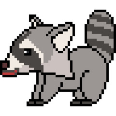 vector pixel art raccoon