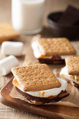 homemade marshmallow s'mores with chocolate on crackers