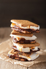 homemade marshmallow s'mores with chocolate on crackers