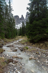 Green forest and snowy mountains. Dolomites Alps