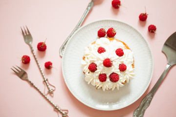 Raspberry Cake with whipped cream on pink background